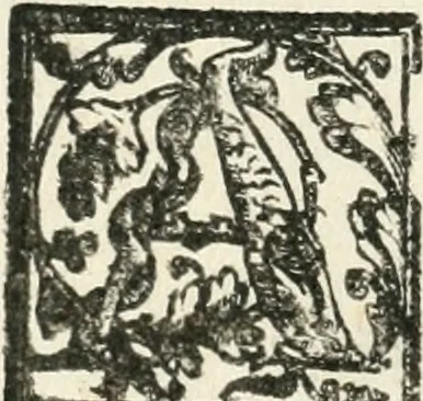 An illustration from Le imprese illvstri : con espositioni et discorsi, 1572, leaf 221