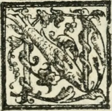 An illustration from Le imprese illvstri : con espositioni et discorsi, 1572, leaf 244