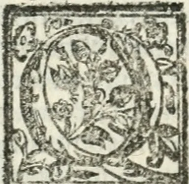 An illustration from Le imprese illvstri : con espositioni et discorsi, 1572, leaf 291