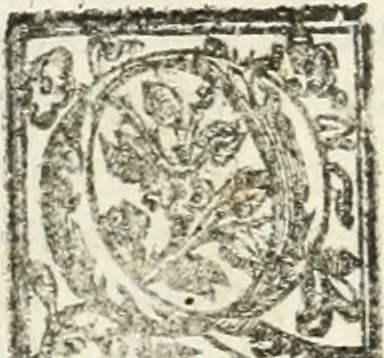 An illustration from Le imprese illvstri : con espositioni et discorsi, 1572, leaf 313