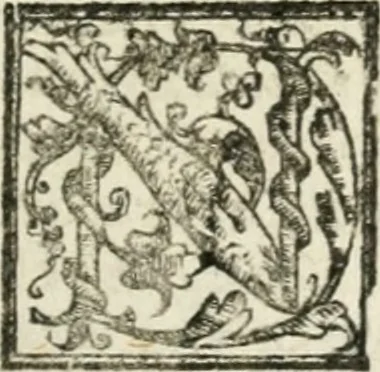 An illustration from Le imprese illvstri : con espositioni et discorsi, 1572, leaf 316