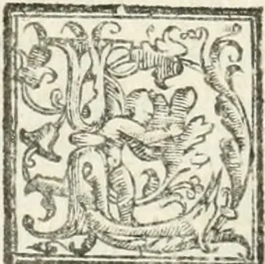 An illustration from Le imprese illvstri : con espositioni et discorsi, 1572, leaf 419