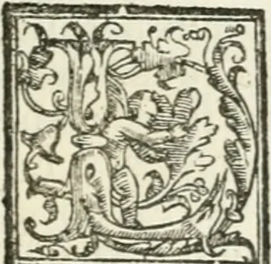 An illustration from Le imprese illvstri : con espositioni et discorsi, 1572, leaf 452