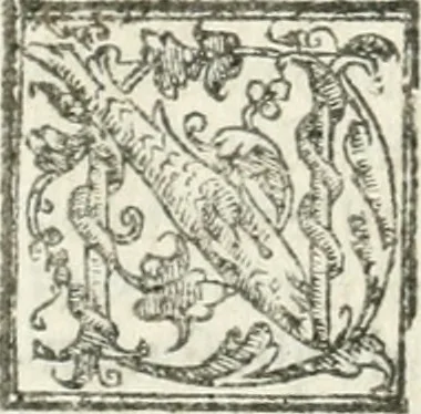 An illustration from Le imprese illvstri : con espositioni et discorsi, 1572, leaf 461