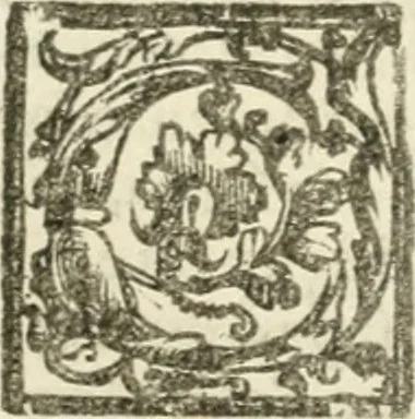 An illustration from Le imprese illvstri : con espositioni et discorsi, 1572, leaf 494