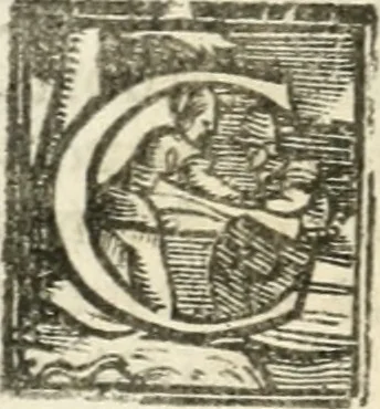 An illustration from Le imprese illvstri : con espositioni et discorsi, 1572, leaf 497