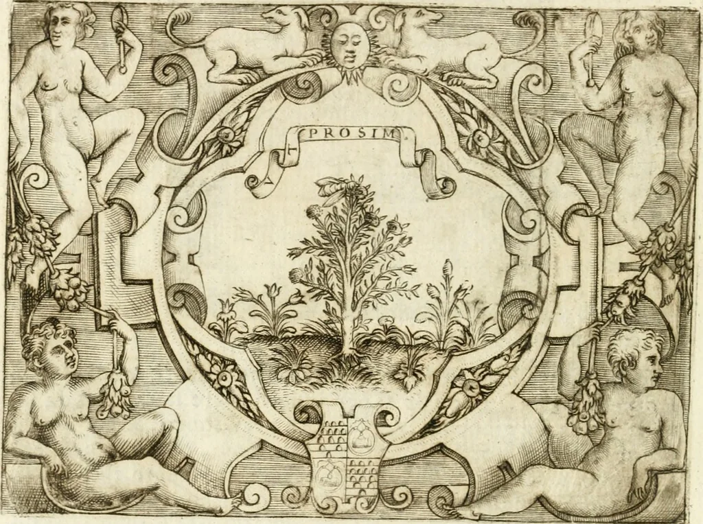 An illustration from Le imprese illvstri : con espositioni et discorsi, 1572, leaf 509