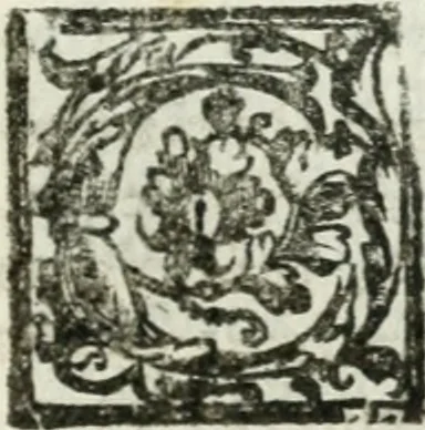 An illustration from Le imprese illvstri : con espositioni et discorsi, 1572, leaf 520