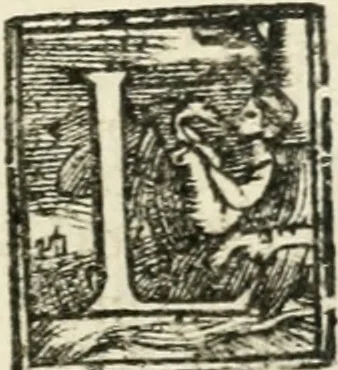 An illustration from Le imprese illvstri : con espositioni et discorsi, 1572, leaf 530