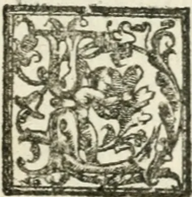 An illustration from Le imprese illvstri : con espositioni et discorsi, 1572, leaf 544