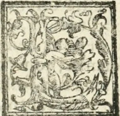 An illustration from Le imprese illvstri : con espositioni et discorsi, 1572, leaf 551