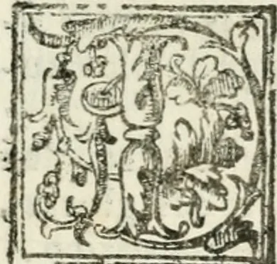 An illustration from Le imprese illvstri : con espositioni et discorsi, 1572, leaf 572