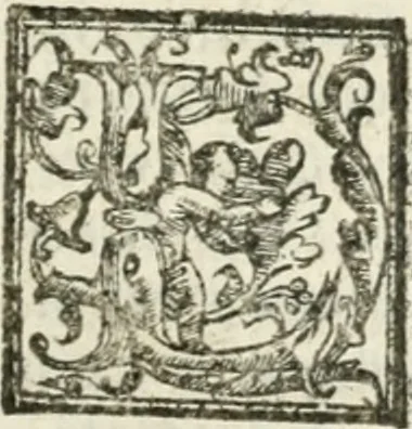 An illustration from Le imprese illvstri : con espositioni et discorsi, 1572, leaf 594
