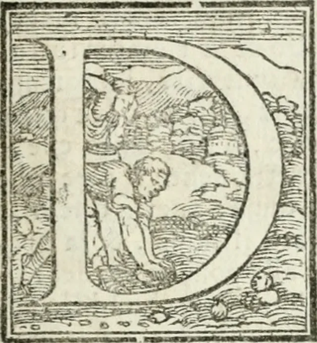 An illustration from Le imprese illvstri : con espositioni et discorsi, 1572, leaf 70