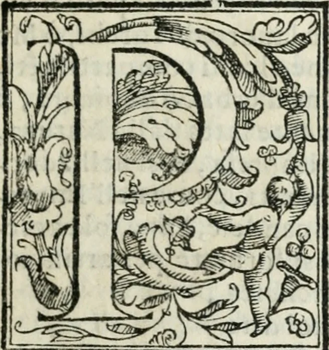 An illustration from Le imprese illvstri : con espositioni et discorsi, 1572, leaf 90