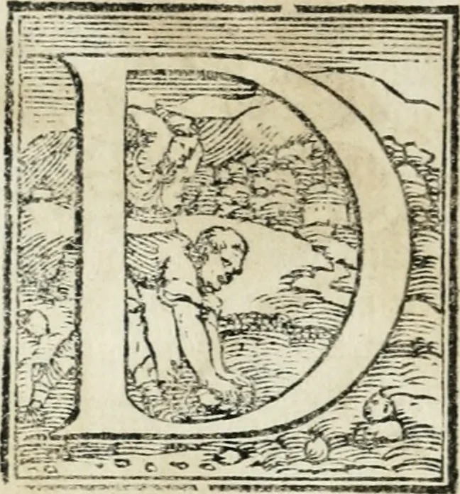An illustration from Le imprese illvstri : con espositioni et discorsi, 1572, leaf 95