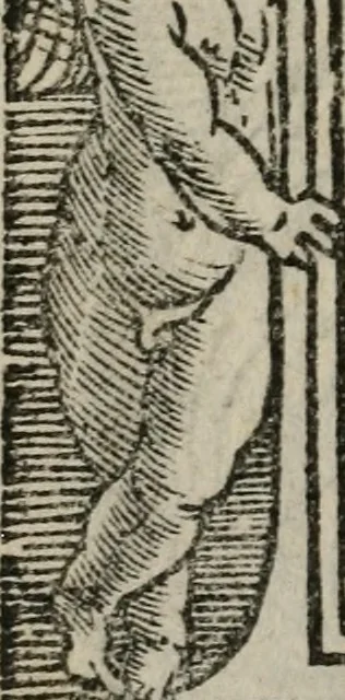 An illustration from Illvstrivm imagines, 1517, leaf 159