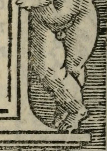 An illustration from Illvstrivm imagines, 1517, leaf 159