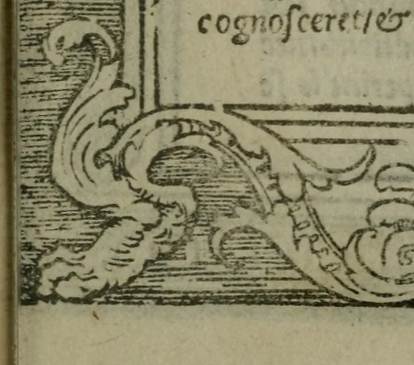 An illustration from Illvstrivm imagines, 1517, leaf 16