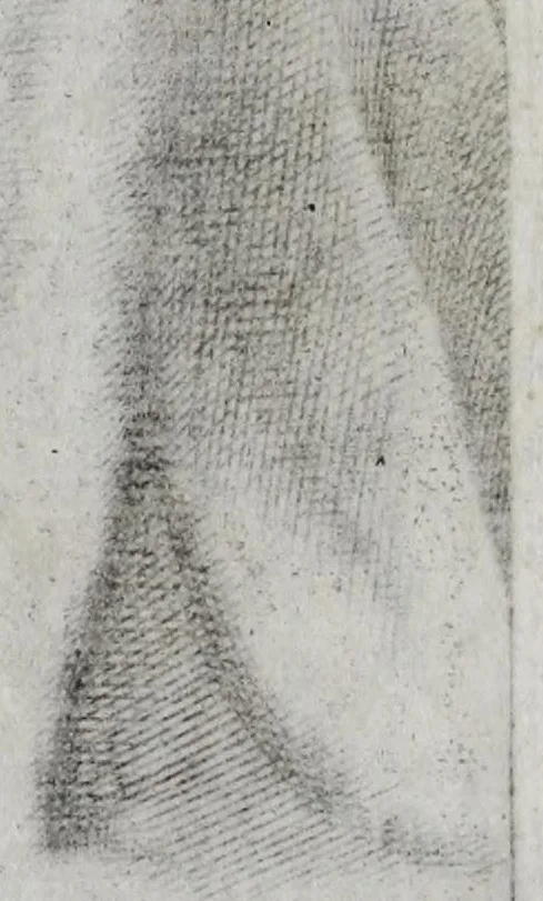An illustration from Illvstrivm ivreconsvltorvm imagines : qvae inveniri potvervnt ad vivam effigiem expressae : ex musaeo Marci Mantuae Benauidij Patauini iureconsulti clarissimi, 1566, leaf 20