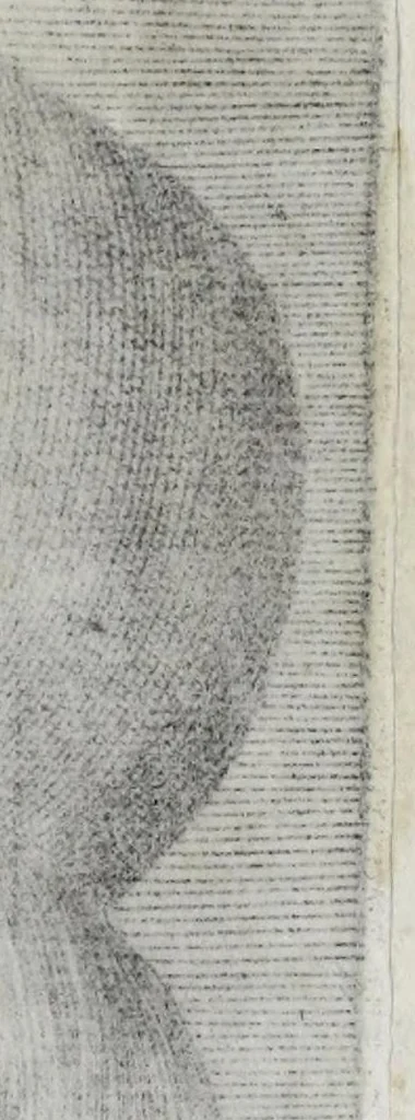 An illustration from Illvstrivm ivreconsvltorvm imagines : qvae inveniri potvervnt ad vivam effigiem expressae : ex musaeo Marci Mantuae Benauidij Patauini iureconsulti clarissimi, 1566, leaf 58