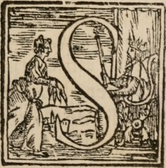 An illustration from Il Magno Vitei, 1597, leaf 10