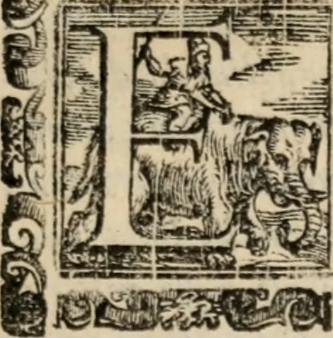 An illustration from Il Magno Vitei, 1597, leaf 32