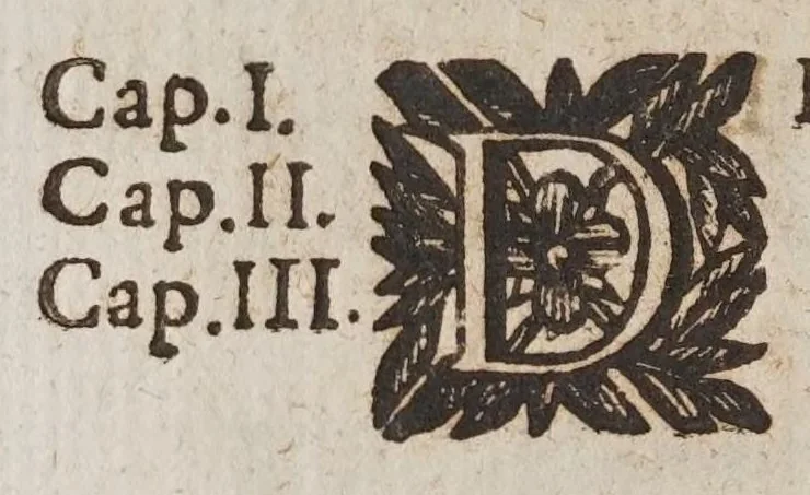 An illustration from Il mare essaminato, 1656, leaf 18