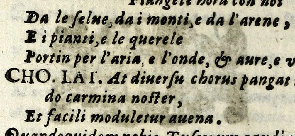 An illustration from Il maritaggio delle mvse : poema drammatico, 1633, leaf 254