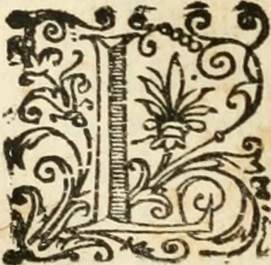 An illustration from Il martirio di Santa Cristina vergine ..., 1628, leaf 101