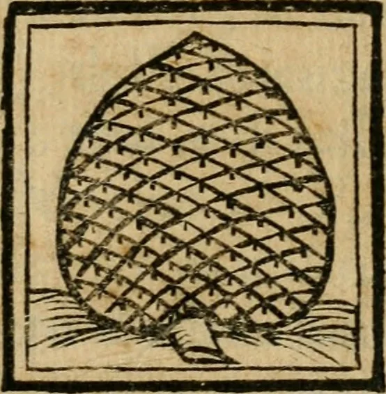 An illustration from Il martirio di Santa Cristina vergine ..., 1628, leaf 172