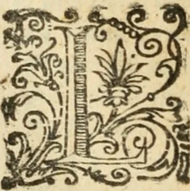 An illustration from Il martirio di Santa Cristina vergine ..., 1628, leaf 221