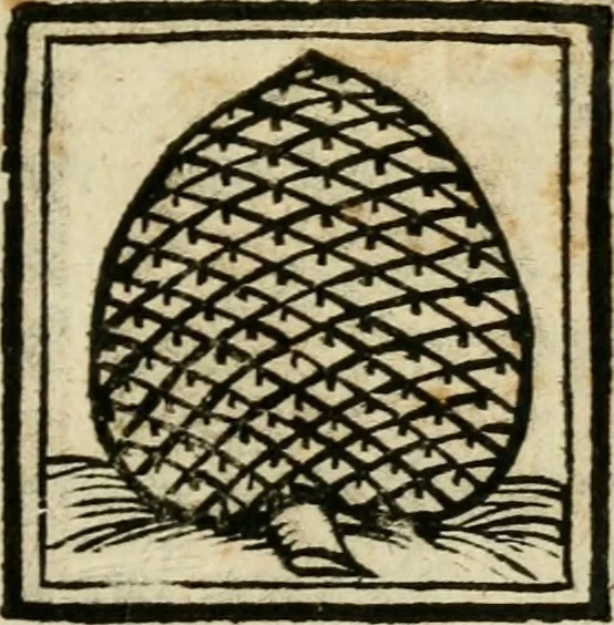 An illustration from Il martirio di Santa Cristina vergine ..., 1628, leaf 264