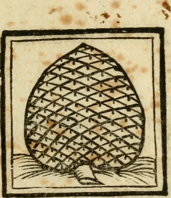 An illustration from Il martirio di Santa Cristina vergine ..., 1628, leaf 4