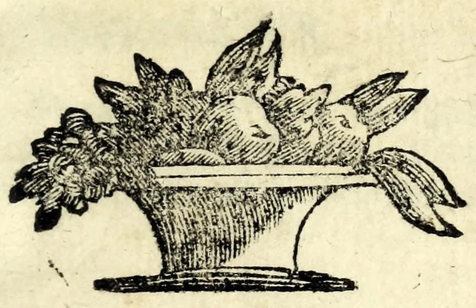 An illustration from Il matrimonio in maschera : commedia, leaf 5