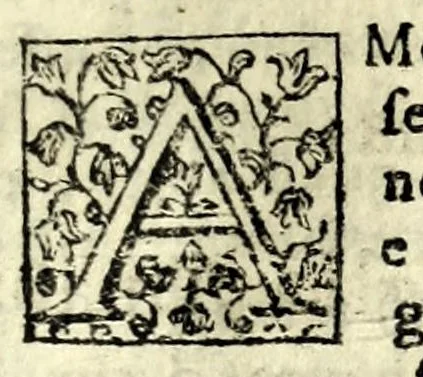 An illustration from Il matrimonio in maschera : commedia, leaf 9