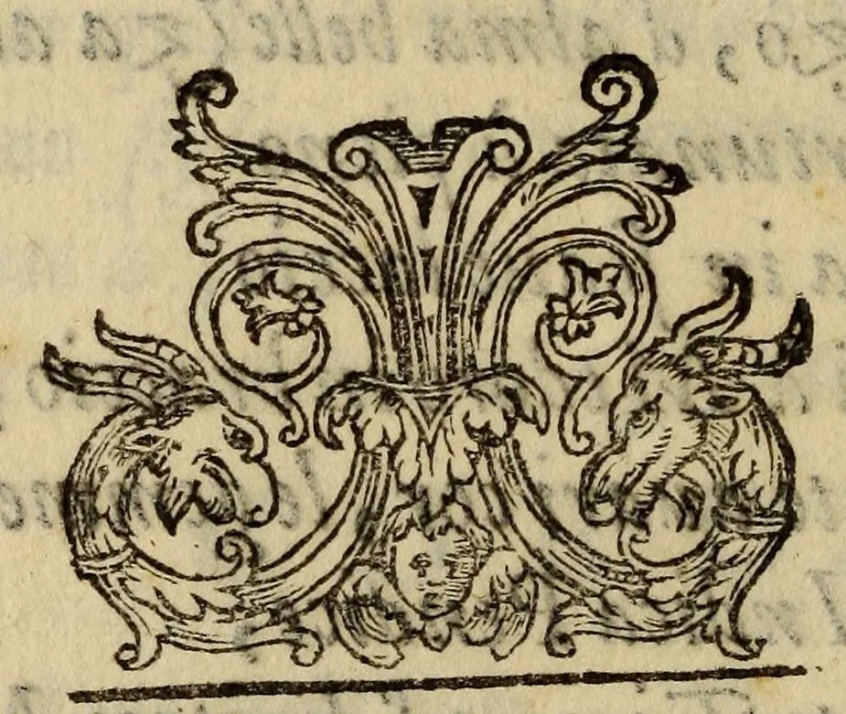 An illustration from Il Medoro d'Andrea Salvadori, rappresentato in mvsica nel palazzo del serenissimo g. dvca di Toscana ..., 1623, leaf 58