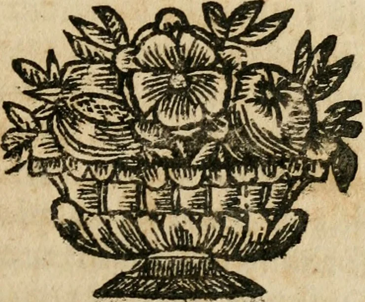 An illustration from Il Meo Patacca : o vero Roma in feste ne i trionfi di Vienna : poema giocoso nel linguaggio romanesco, 1695, leaf 146