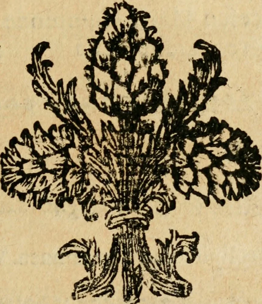 An illustration from Il Meo Patacca : o vero Roma in feste ne i trionfi di Vienna : poema giocoso nel linguaggio romanesco, 1695, leaf 18