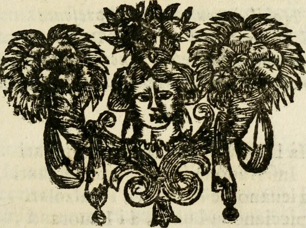 An illustration from Il Meo Patacca : o vero Roma in feste ne i trionfi di Vienna : poema giocoso nel linguaggio romanesco, 1695, leaf 182