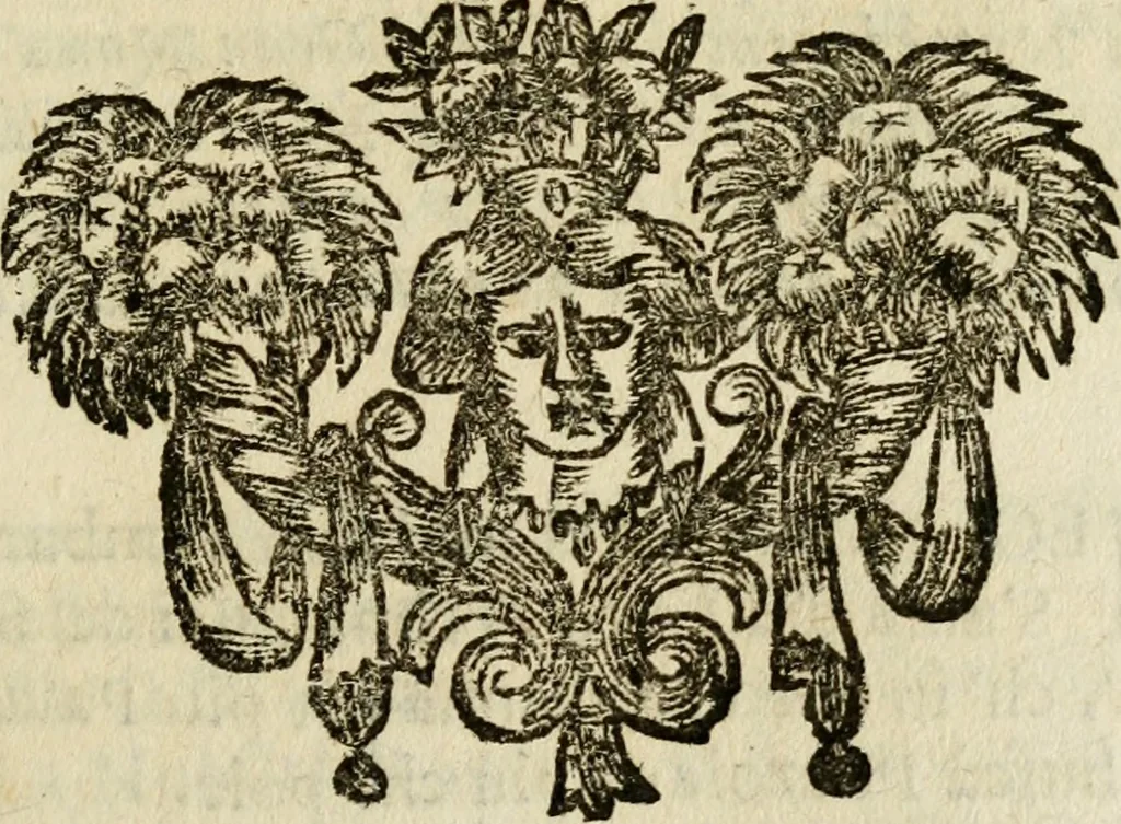 An illustration from Il Meo Patacca : o vero Roma in feste ne i trionfi di Vienna : poema giocoso nel linguaggio romanesco, 1695, leaf 218