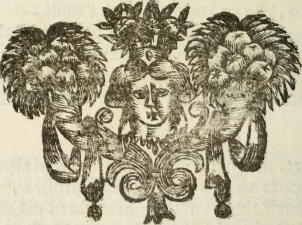 An illustration from Il Meo Patacca : o vero Roma in feste ne i trionfi di Vienna : poema giocoso nel linguaggio romanesco, 1695, leaf 329