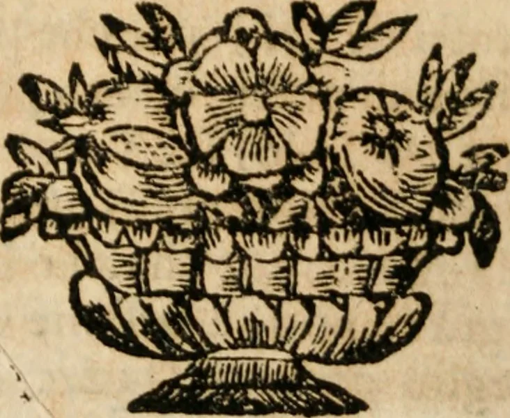 An illustration from Il Meo Patacca : o vero Roma in feste ne i trionfi di Vienna : poema giocoso nel linguaggio romanesco, 1695, leaf 81