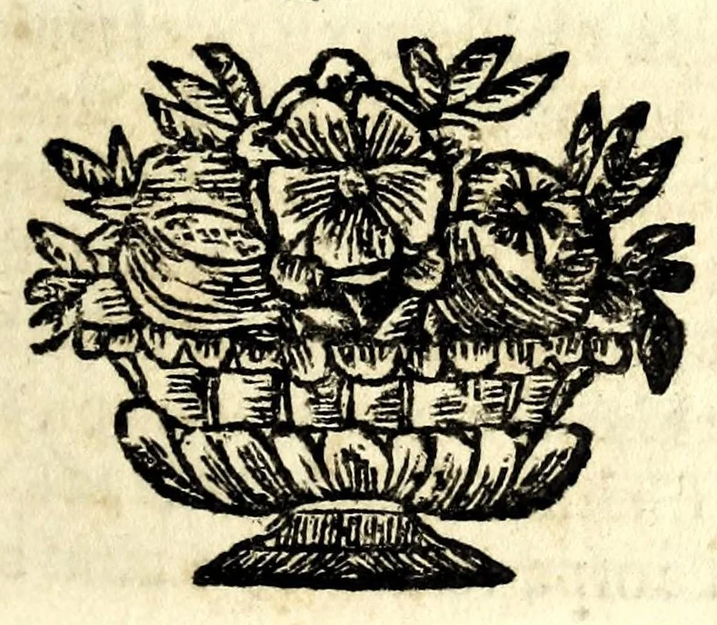 An illustration from Il meo Patacca, overo, Roma in feste ne i trionfi di Vienna : poema giocoso nel linguaggio romanesco, 1695, leaf 147