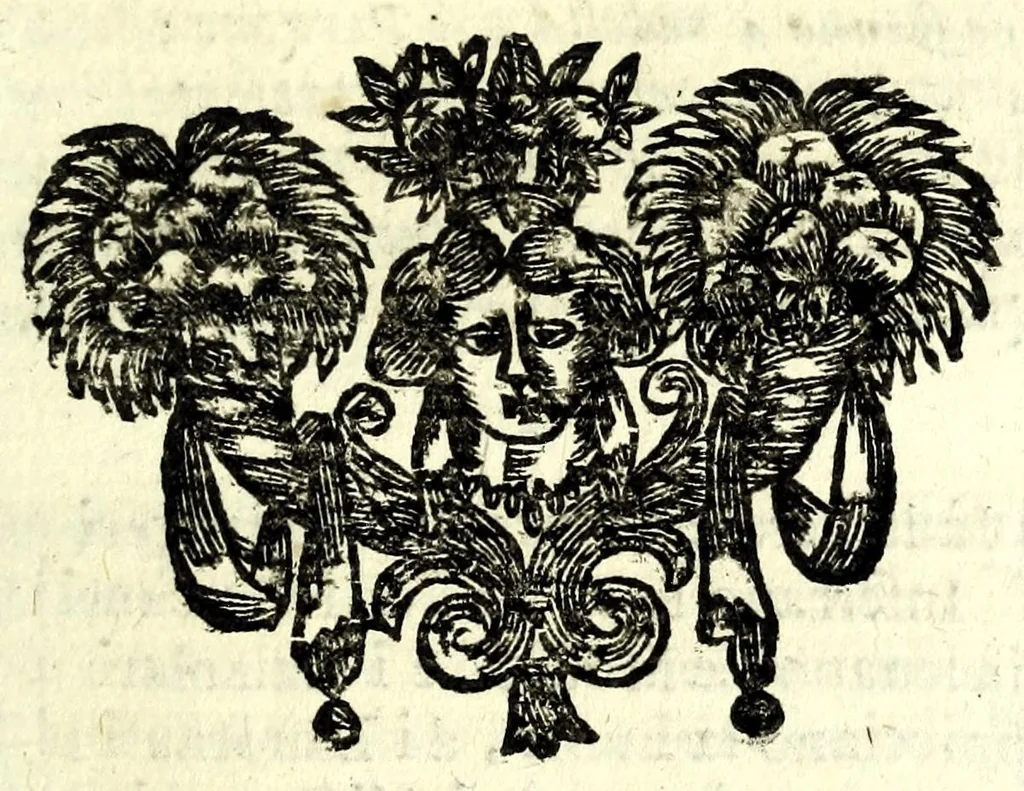An illustration from Il meo Patacca, overo, Roma in feste ne i trionfi di Vienna : poema giocoso nel linguaggio romanesco, 1695, leaf 183