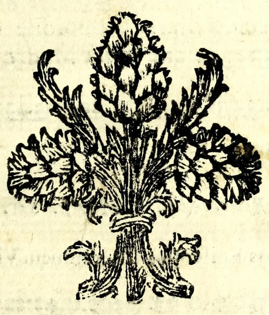 An illustration from Il meo Patacca, overo, Roma in feste ne i trionfi di Vienna : poema giocoso nel linguaggio romanesco, 1695, leaf 19