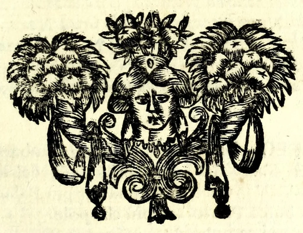 An illustration from Il meo Patacca, overo, Roma in feste ne i trionfi di Vienna : poema giocoso nel linguaggio romanesco, 1695, leaf 219