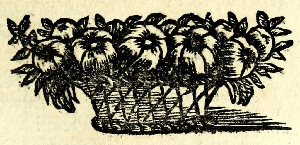 An illustration from Il meo Patacca, overo, Roma in feste ne i trionfi di Vienna : poema giocoso nel linguaggio romanesco, 1695, leaf 289