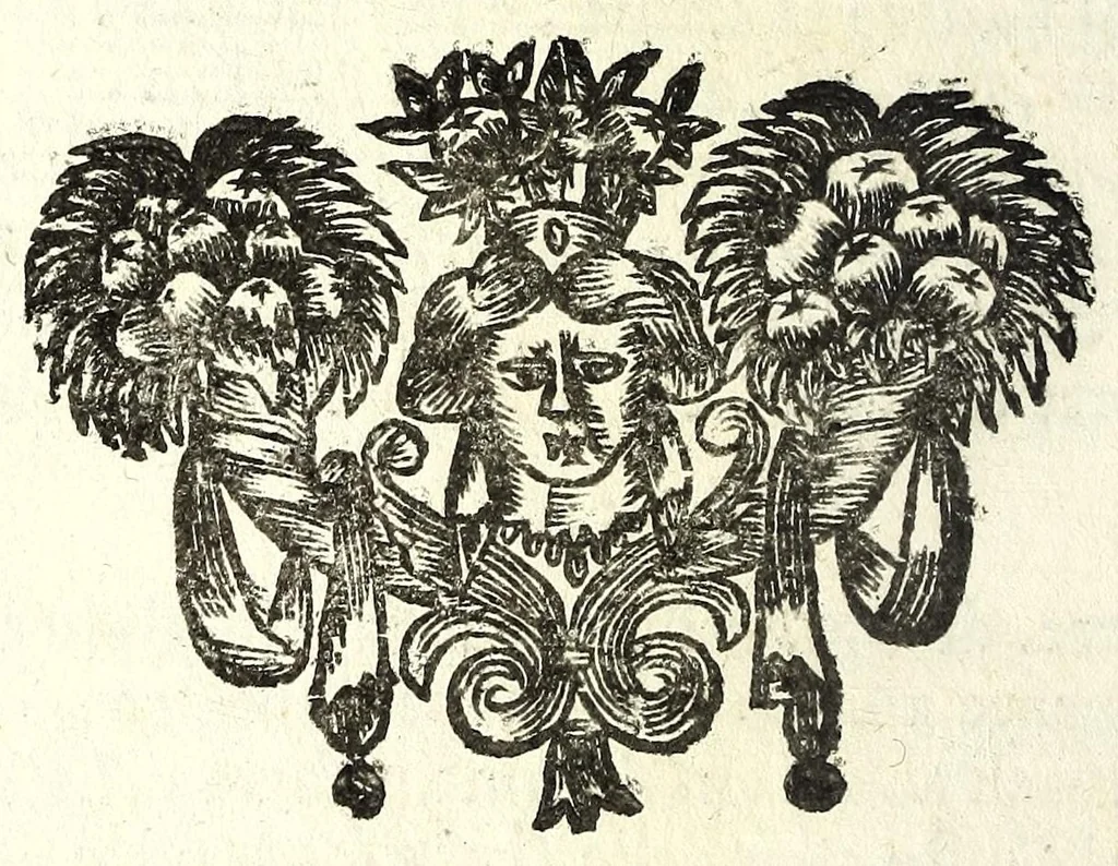 An illustration from Il meo Patacca, overo, Roma in feste ne i trionfi di Vienna : poema giocoso nel linguaggio romanesco, 1695, leaf 330