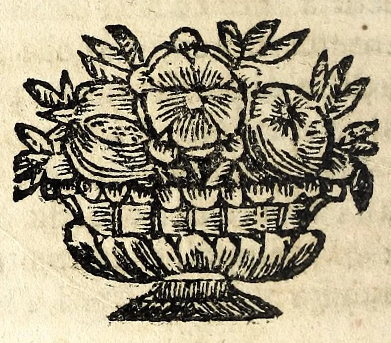 An illustration from Il meo Patacca, overo, Roma in feste ne i trionfi di Vienna : poema giocoso nel linguaggio romanesco, 1695, leaf 82